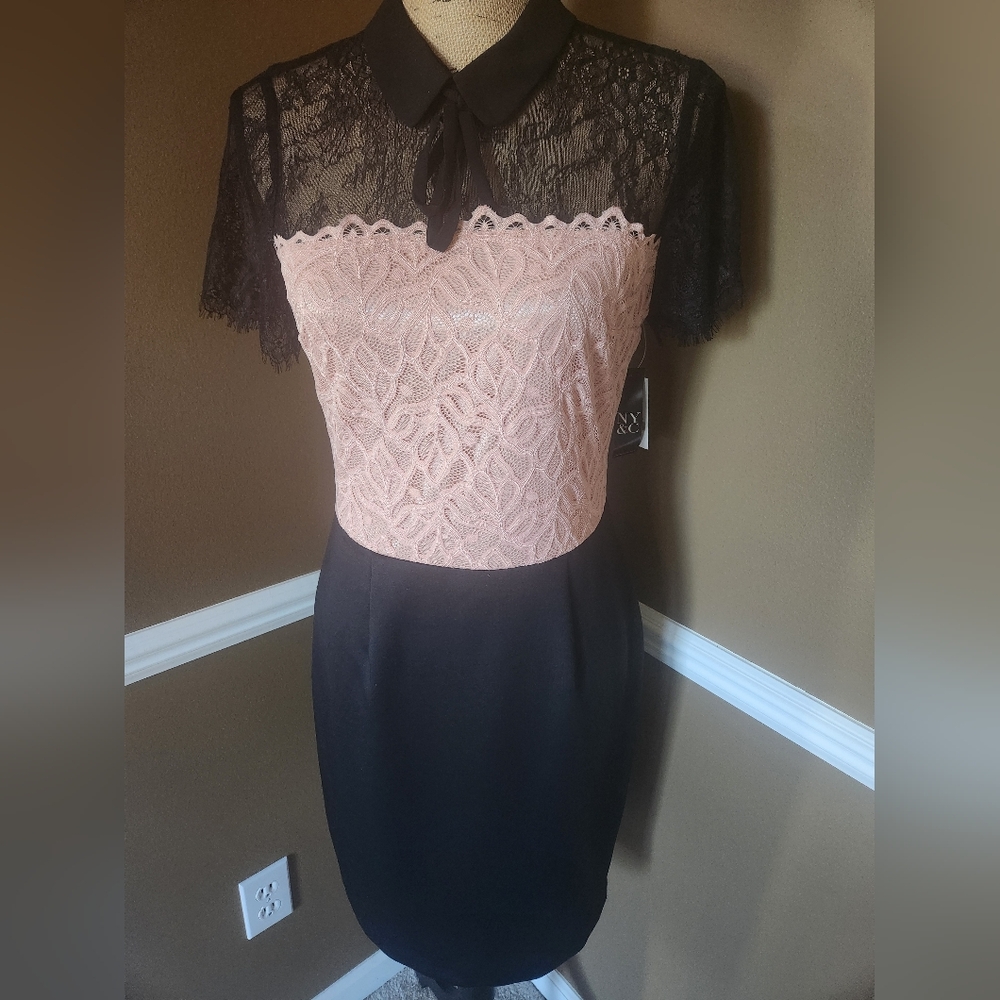 NWT New York & Co Pink And Blace Lace‎ Whimsygoth Midi Dress Sz Sm